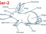 (Biology)Sets(2)တက္ကသိုလ်ဝင်တန်းစာမေးပွဲ ဝင်ရောက်ဖြေဆိုမည့် ကျောင်းသား/သူများအတွက် လေ့ကျင့်ရန်