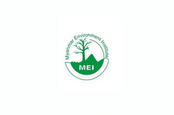 Myanmar Environment Institute